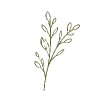 Leaf Icon